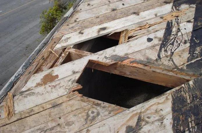 Longfellow Elementary School - Photo 8