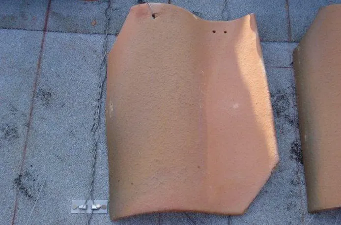 Longfellow Elementary School - Photo 11