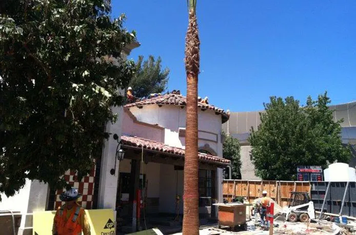 Universal Studios Hollywood - Photo 3